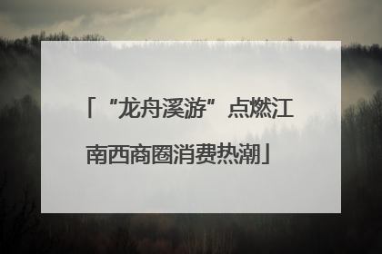 “龙舟溪游”点燃江南西商圈消费热潮