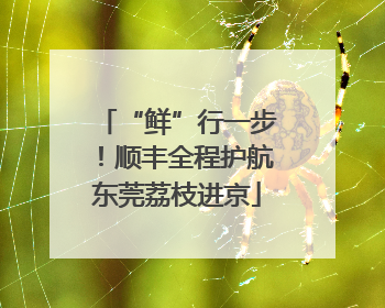 “鲜”行一步！顺丰全程护航东莞荔枝进京
