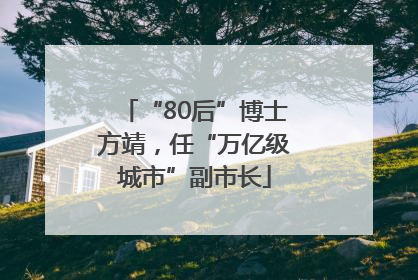 “80后”博士方靖，任“万亿级城市”副市长