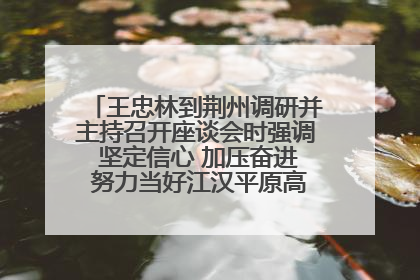 王忠林到荆州调研并主持召开座谈会时强调 坚定信心 加压奋进 努力当好江汉平原高质量发展排头兵