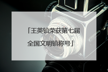 王英镇荣获第七届全国文明镇称号