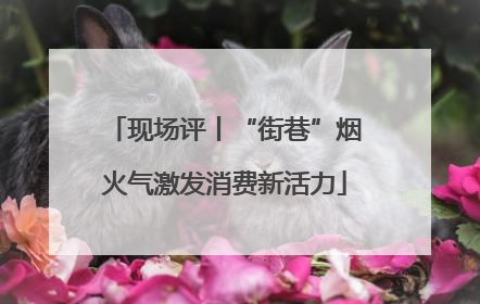 现场评丨“街巷”烟火气激发消费新活力
