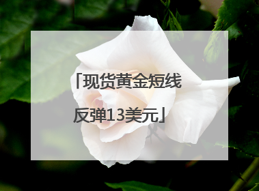 现货黄金短线反弹13美元