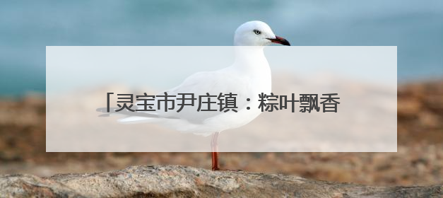 灵宝市尹庄镇：粽叶飘香贺端午，童心飞扬庆六一