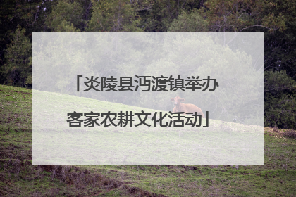 炎陵县沔渡镇举办客家农耕文化活动