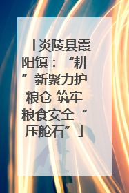 炎陵县霞阳镇：“耕”新聚力护粮仓 筑牢粮食安全“压舱石”