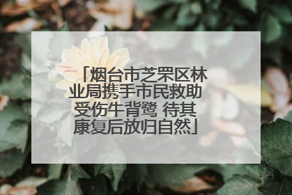 烟台市芝罘区林业局携手市民救助受伤牛背鹭 待其康复后放归自然