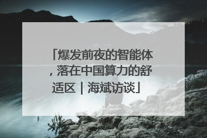 爆发前夜的智能体，落在中国算力的舒适区｜海斌访谈