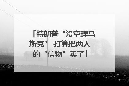 特朗普“没空理马斯克” 打算把两人的“信物”卖了
