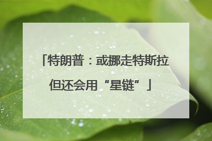 特朗普：或挪走特斯拉 但还会用“星链”