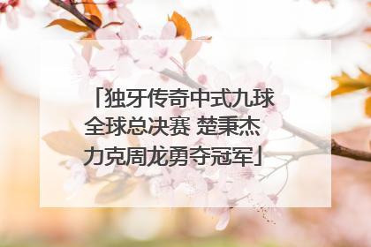 独牙传奇中式九球全球总决赛 楚秉杰力克周龙勇夺冠军