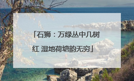 石狮：万绿丛中几树红 湿地荷塘韵无穷