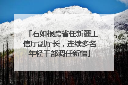 石如根跨省任新疆工信厅副厅长，连续多名年轻干部调任新疆
