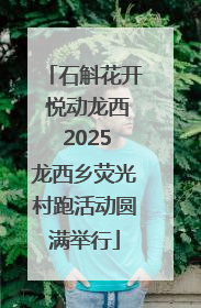 石斛花开 悦动龙西 2025龙西乡荧光村跑活动圆满举行