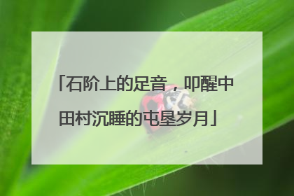 石阶上的足音，叩醒中田村沉睡的屯垦岁月