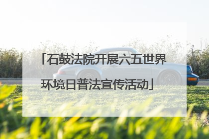 石鼓法院开展六五世界环境日普法宣传活动