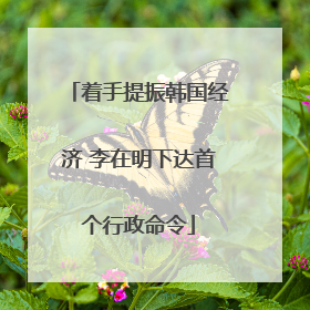 着手提振韩国经济 李在明下达首个行政命令