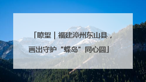 瞭望｜福建漳州东山县，画出守护“蝶岛”同心圆