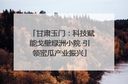 甘肃玉门：科技赋能戈壁绿洲小院 引领蜜瓜产业振兴