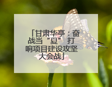 甘肃华亭：奋战当“夏” 打响项目建设攻坚大会战
