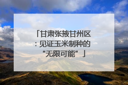 甘肃张掖甘州区：见证玉米制种的“无限可能”