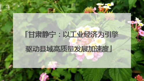甘肃静宁：以工业经济为引擎 驱动县域高质量发展加速度