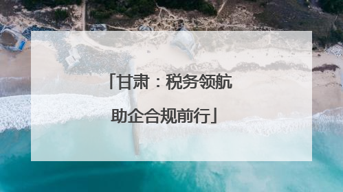 甘肃：税务领航 助企合规前行