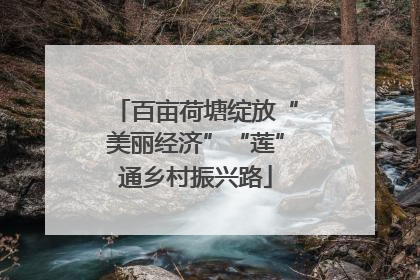 百亩荷塘绽放“美丽经济”“莲”通乡村振兴路