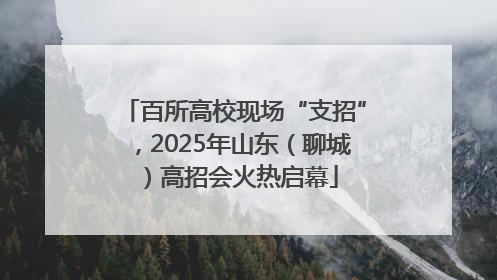 百所高校现场“支招”，2025年山东（聊城）高招会火热启幕
