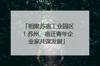相聚苏宿工业园区！苏州、宿迁青年企业家共谋发展