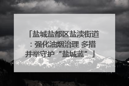 盐城盐都区盐渎街道：强化油烟治理 多措并举守护“盐城蓝”
