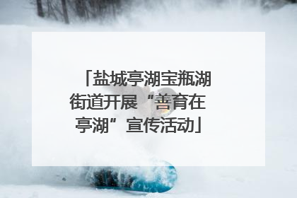盐城亭湖宝瓶湖街道开展“善育在亭湖”宣传活动