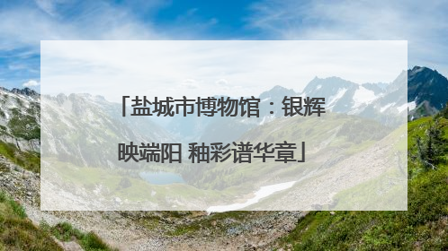 盐城市博物馆：银辉映端阳 釉彩谱华章