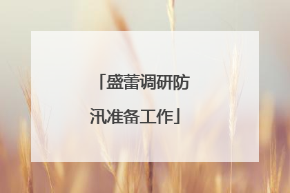 盛蕾调研防汛准备工作