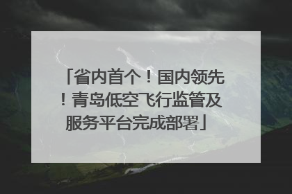 省内首个！国内领先！青岛低空飞行监管及服务平台完成部署