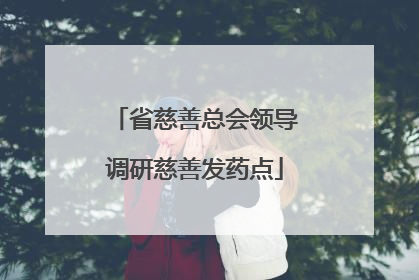省慈善总会领导调研慈善发药点