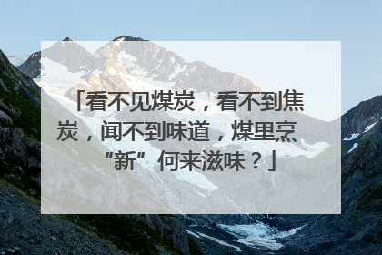 看不见煤炭，看不到焦炭，闻不到味道，煤里烹“新”何来滋味？