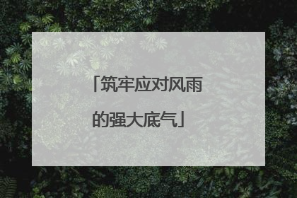 筑牢应对风雨的强大底气