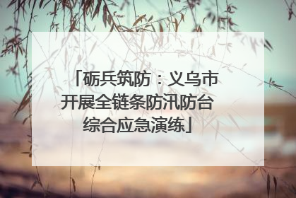 砺兵筑防：义乌市开展全链条防汛防台综合应急演练