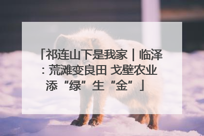 祁连山下是我家｜临泽：荒滩变良田 戈壁农业添“绿”生“金”