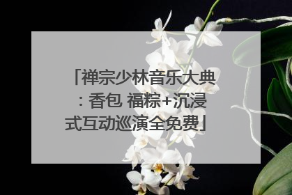 禅宗少林音乐大典：香包 福粽+沉浸式互动巡演全免费