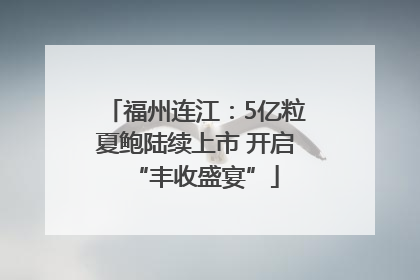 福州连江：5亿粒夏鲍陆续上市 开启“丰收盛宴”