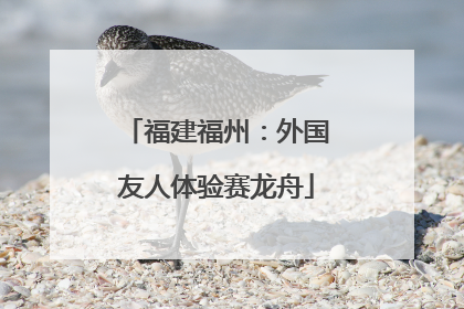 福建福州：外国友人体验赛龙舟