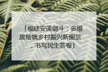福建安溪剑斗：多维度绘就乡村振兴新图景，书写民生答卷