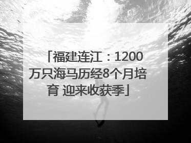 福建连江：1200万只海马历经8个月培育 迎来收获季