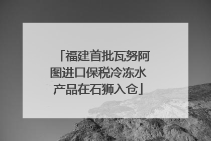 福建首批瓦努阿图进口保税冷冻水产品在石狮入仓