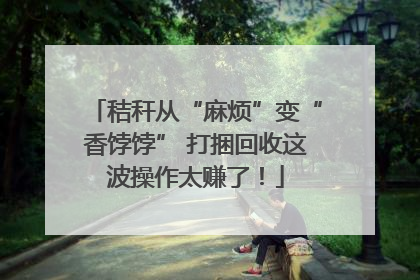 秸秆从“麻烦”变“香饽饽” 打捆回收这波操作太赚了！