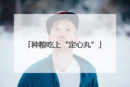 种粮吃上“定心丸”