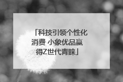 科技引领个性化消费 小象优品赢得Z世代青睐