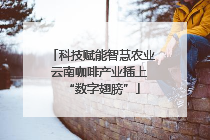 科技赋能智慧农业 云南咖啡产业插上“数字翅膀”